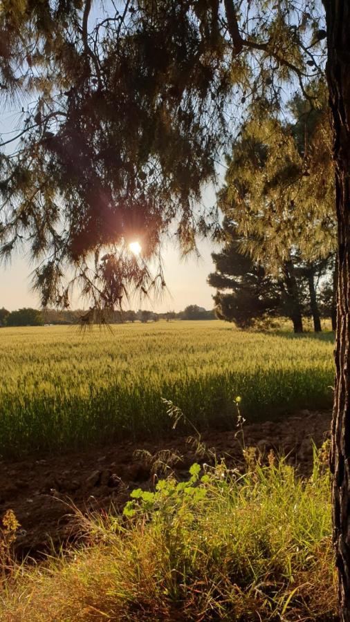 Masseria Vivi Il Salento Santa Caterina  Zewnętrze zdjęcie