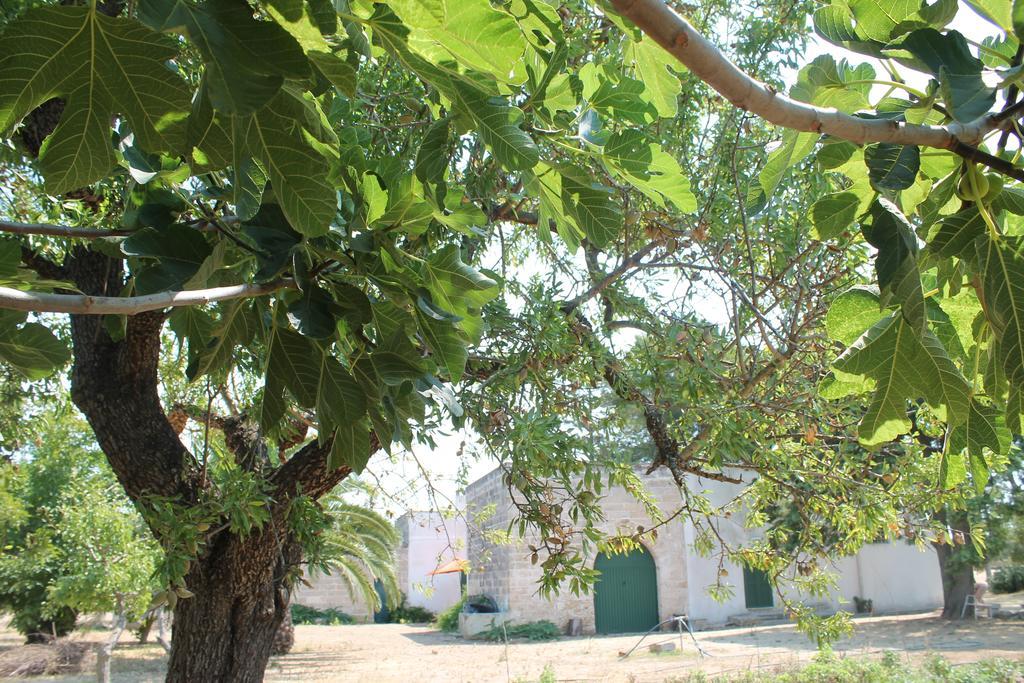 Masseria Vivi Il Salento Santa Caterina  Pokój zdjęcie