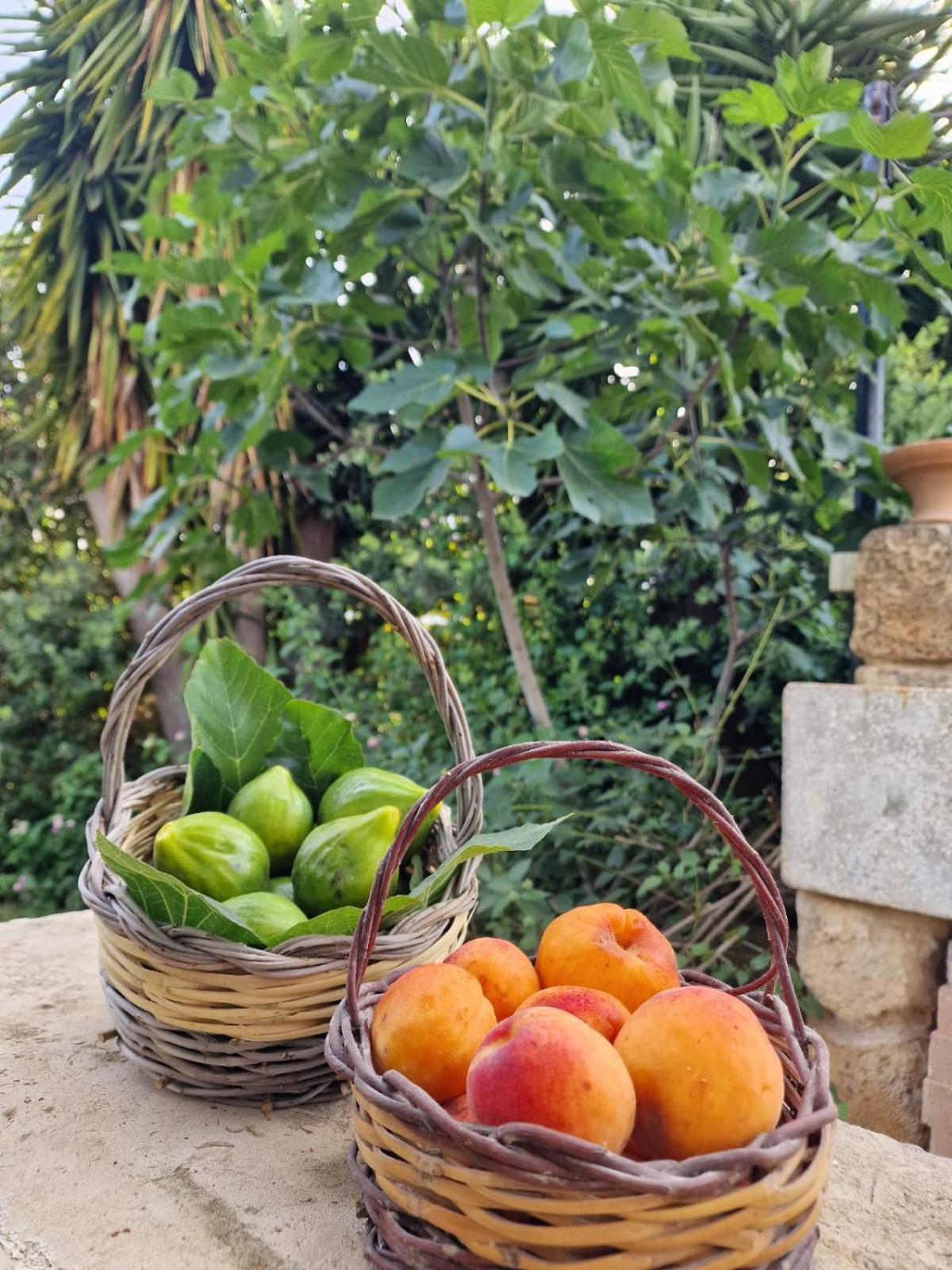 Masseria Vivi Il Salento Santa Caterina  Zewnętrze zdjęcie