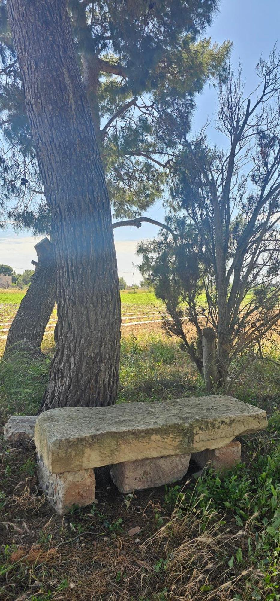 Masseria Vivi Il Salento Santa Caterina  Zewnętrze zdjęcie